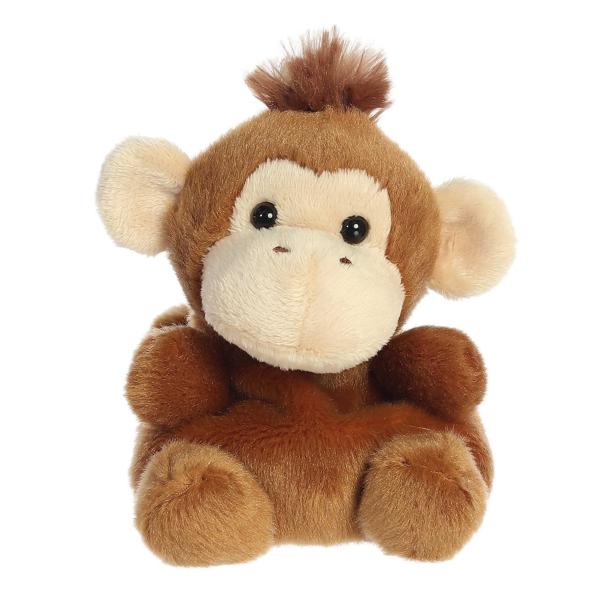 Palm Pals: Boomer Monkey