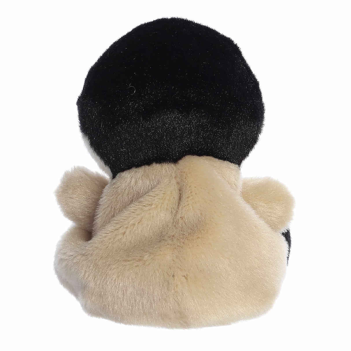 Palm Pals: Alberta Goose