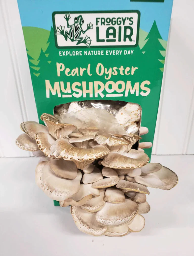 Mushroom Grow Kit