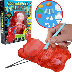 Goo-natomy Lab Jelly Bear
