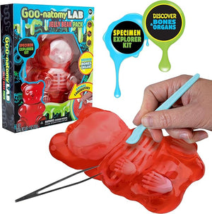 Goo-natomy Lab Jelly Bear