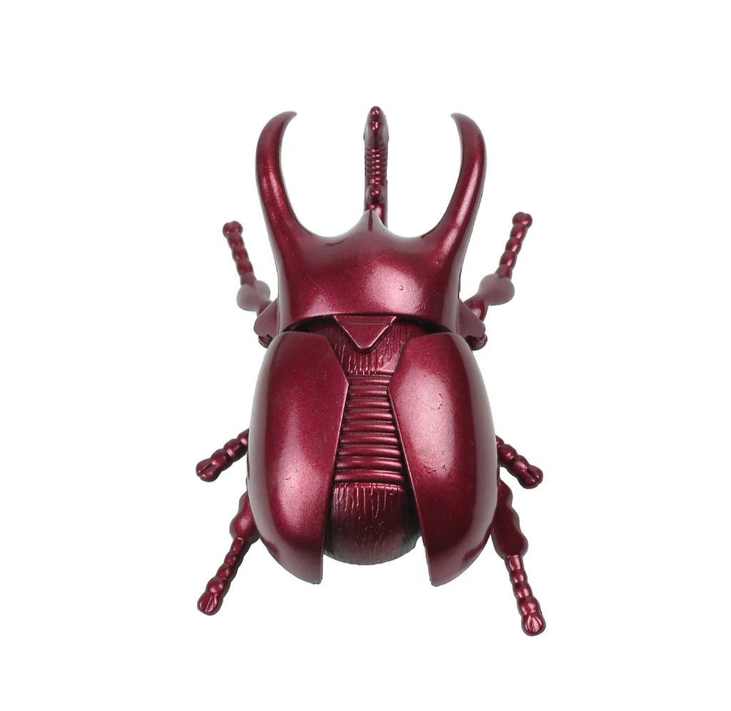 Wind Up Beetle Toy