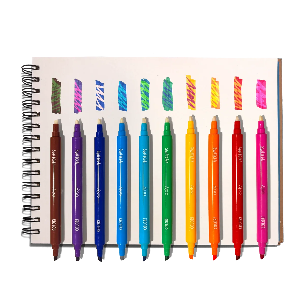 Switch-eroo!: Activity Kit
