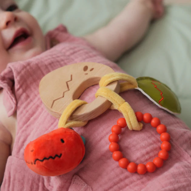 Wooden Rattle - Dino