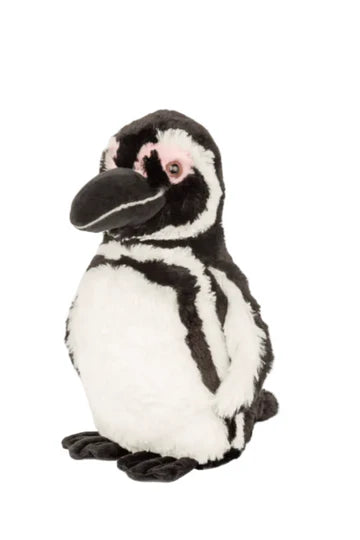 Passage Magellanic Plush