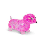 Scruchems Suasage Dog