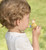 Wooden Bird Whistle