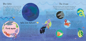 A Hole in the Bottom of the Sea