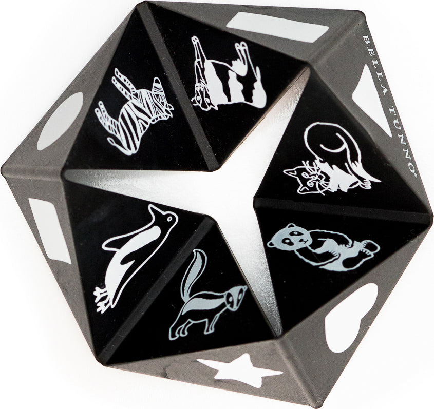 Black Beginner Spinner