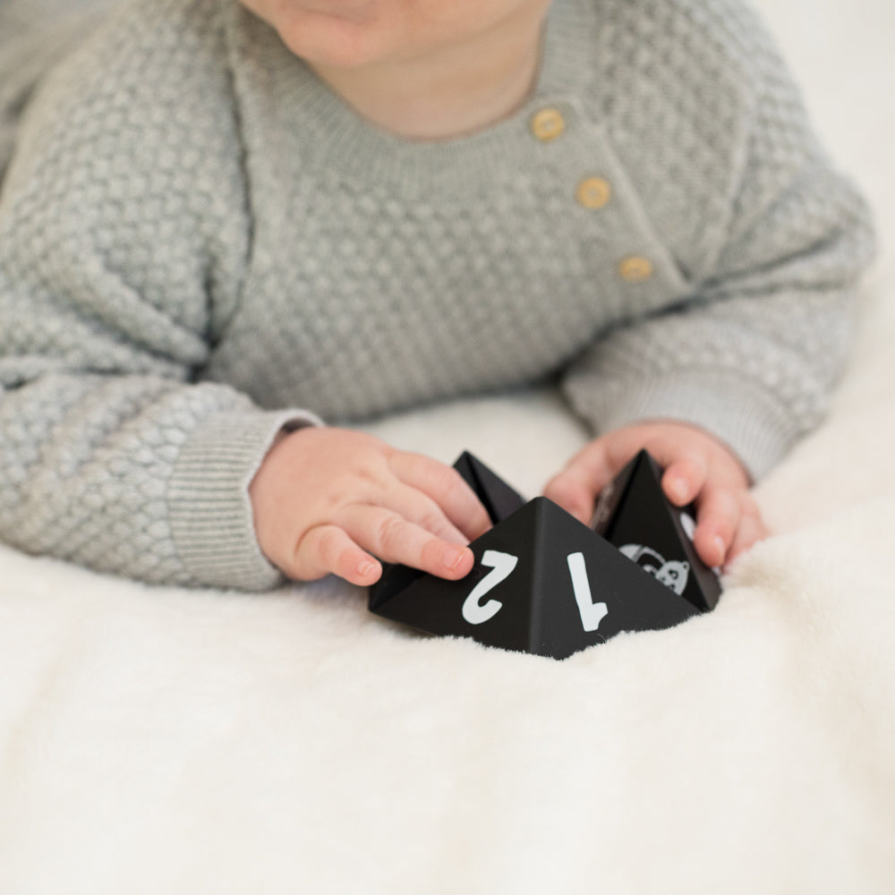 Black Beginner Spinner