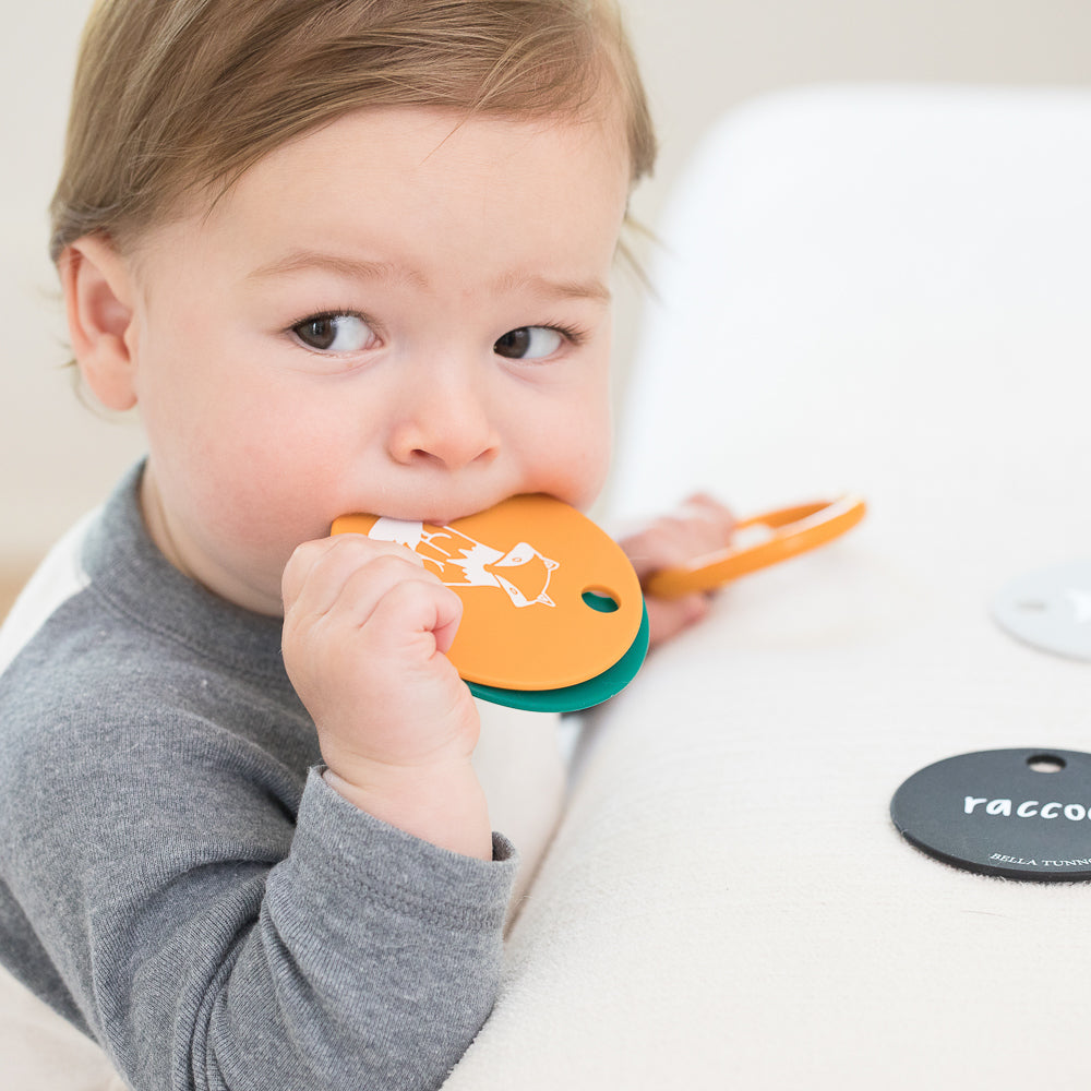 Forest Friends Teething Flashcards