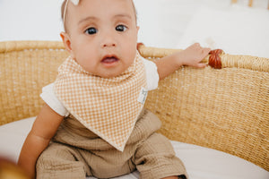 Eden Bandana Bib Set