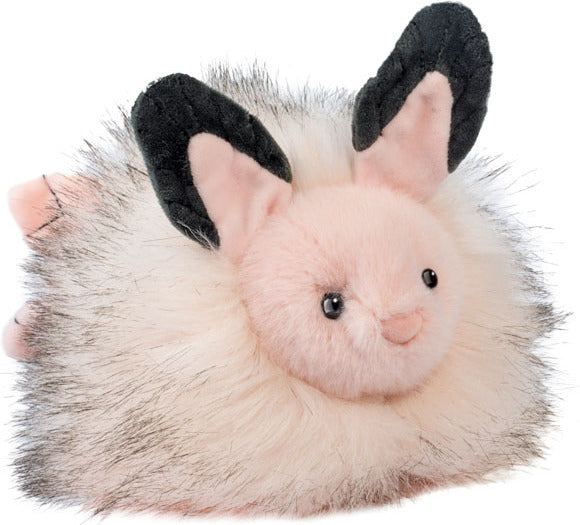 Skimmer Sea Bunny Slug