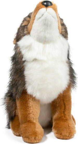 Rambler Coyote