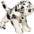 Ginger Miniature Poodle