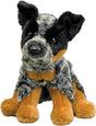 Dexter Australian Cattle Dog