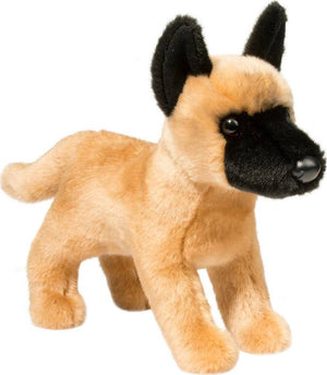 Klaus Belgian Malinois