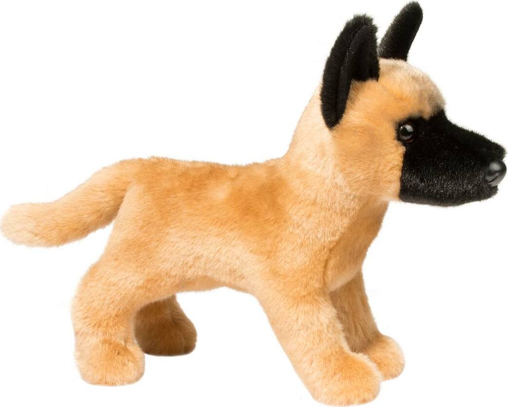 Klaus Belgian Malinois