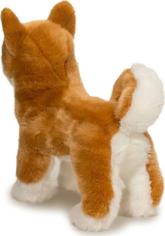 Dunham Shiba Inu