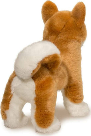Dunham Shiba Inu