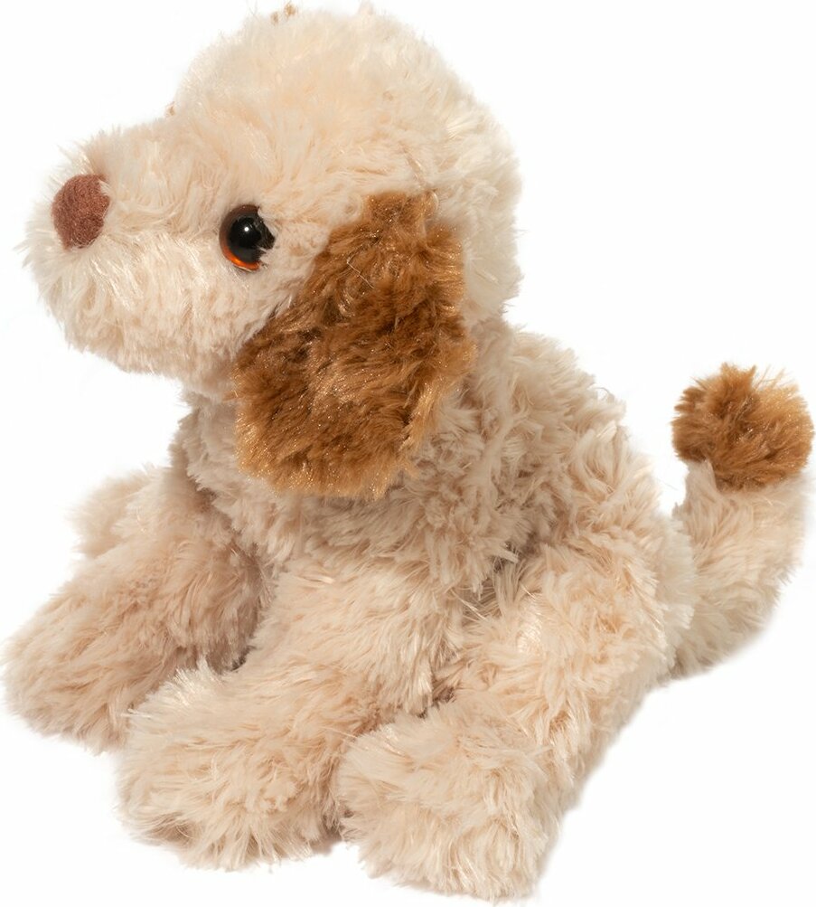 Biscuit Cavapoo