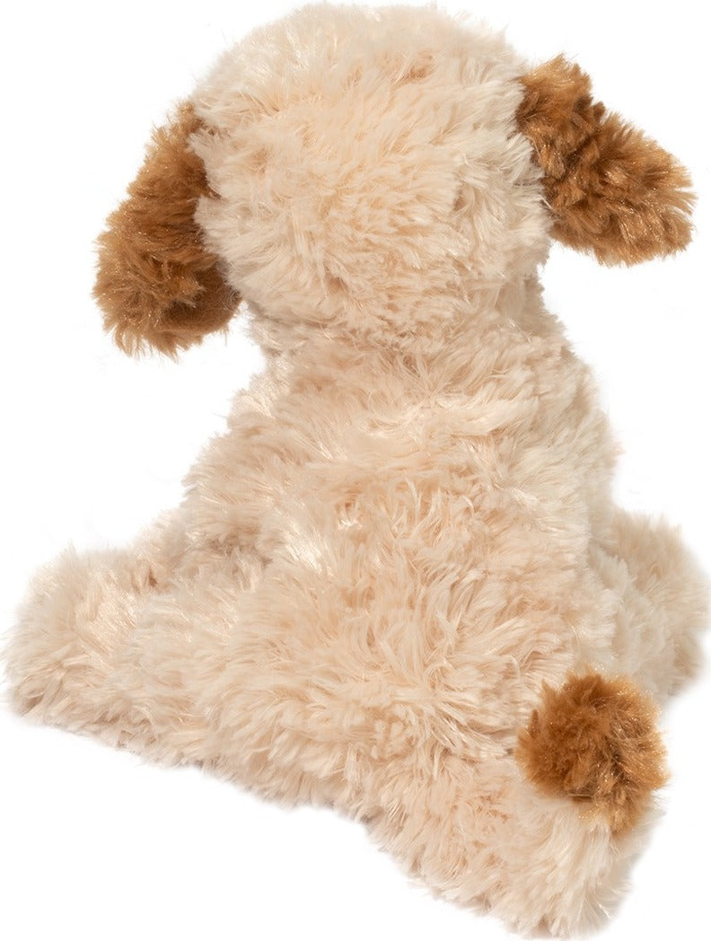 Biscuit Cavapoo