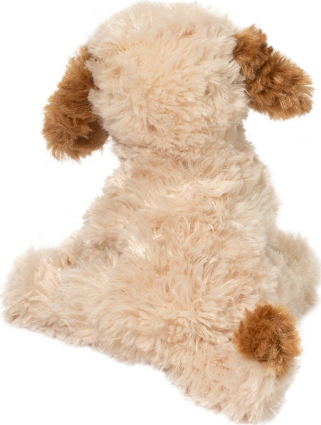 Biscuit Cavapoo