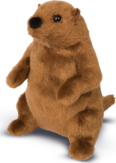 Mr. G Groundhog