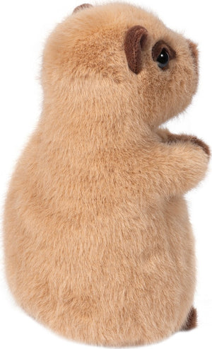 Mini Chattie Soft Capybara