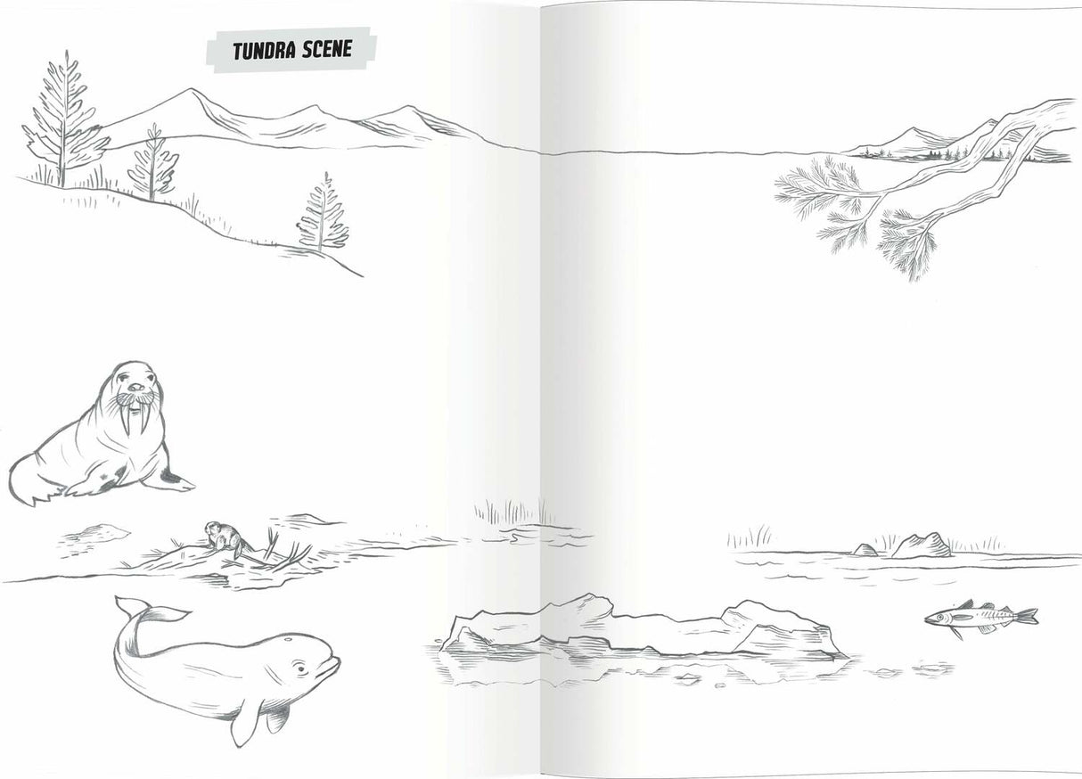 Learn to Draw Wild Animals (Art book with Stickers)