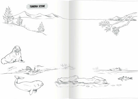Learn to Draw Wild Animals (Art book with Stickers)