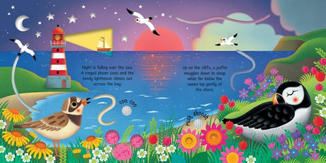 Seashore Sounds