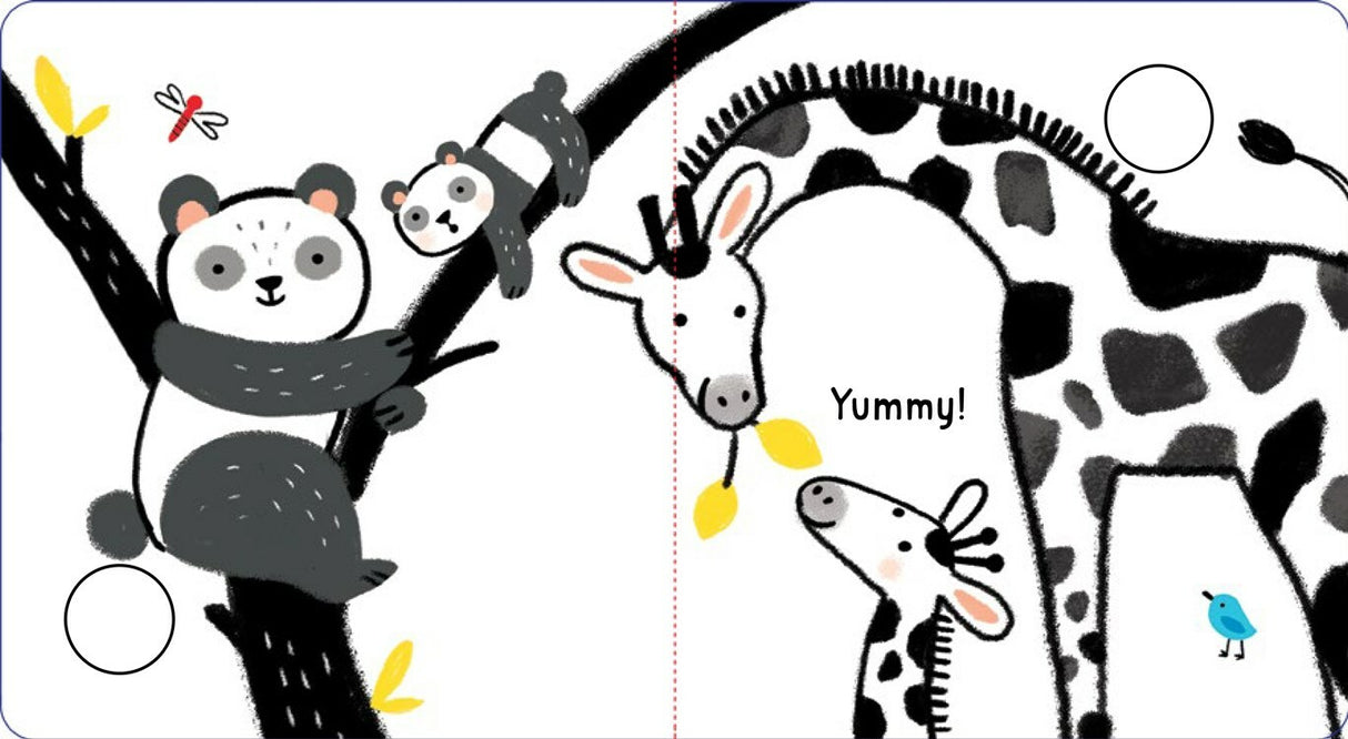 Animals