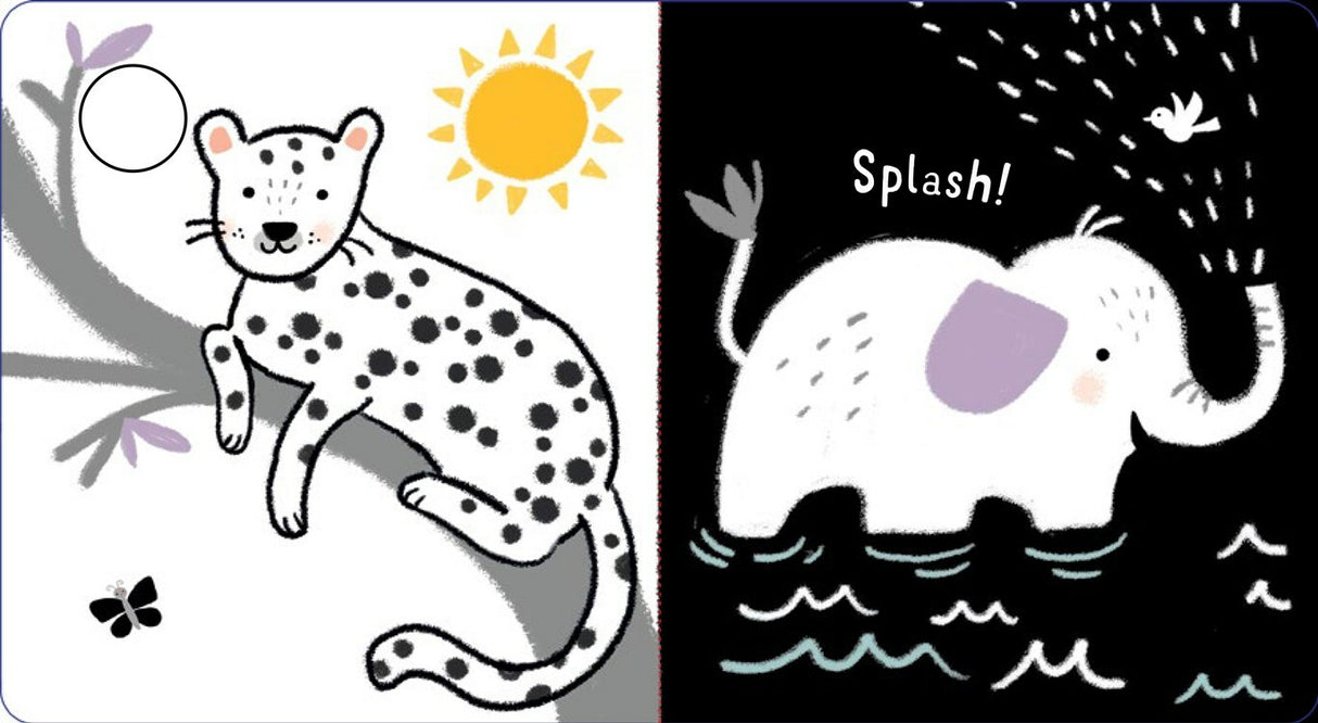 Animals