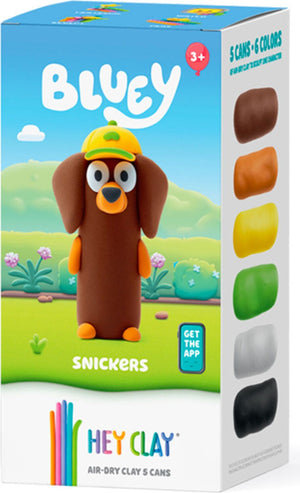 Hey Clay Bluey Single Character Set (assorted)
