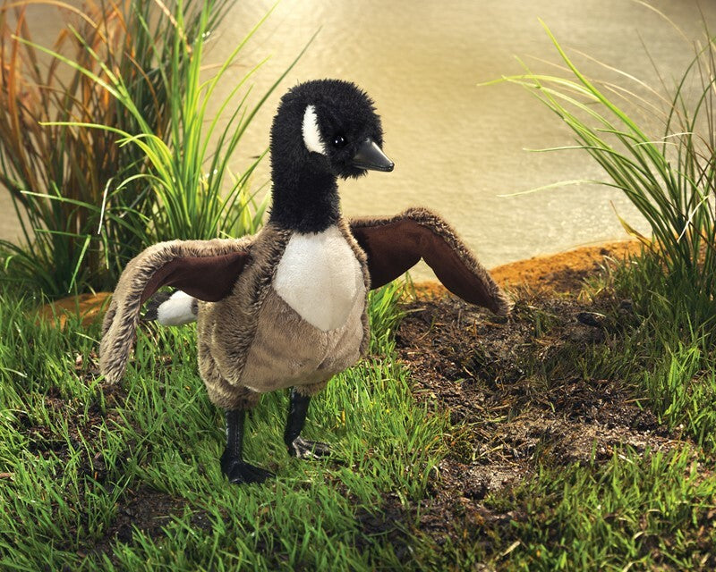 Goose, Canada Hand Puppet