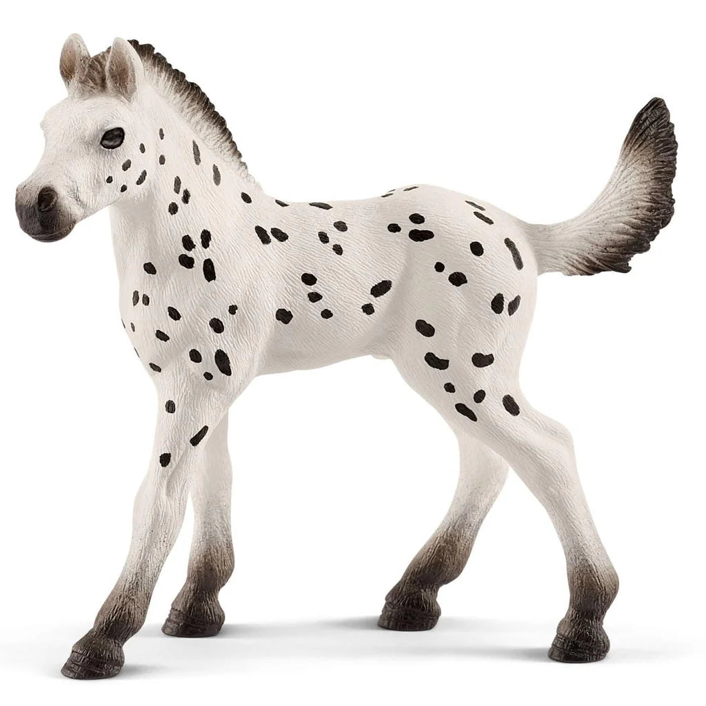 Knapsstrupper Foal