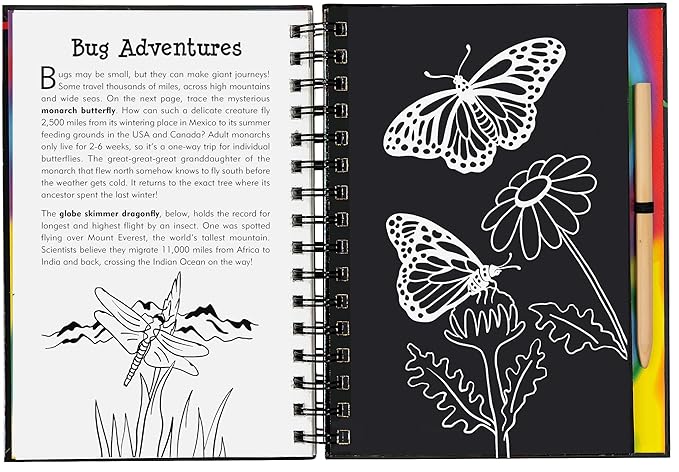 Scratch & Sketch Bugs (Trace-Along): An Art Activity Book