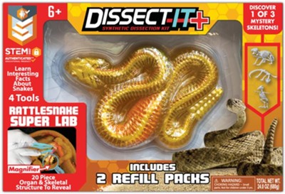 Dissect-It Super Rattlesnake - Gingerbread House Toys