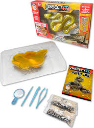 Experiment Kits - Gingerbread House Toys