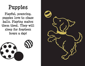 Scratch & Sketch Furry Friends (Trace-Along): An Art Activity Book