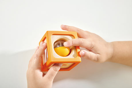 Delightful Discovery Blocks