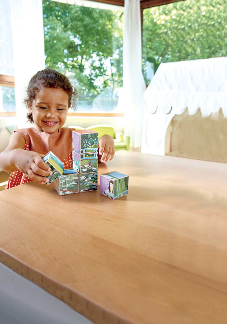 Puzzle Cubes
