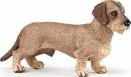 Papo France Dachshund