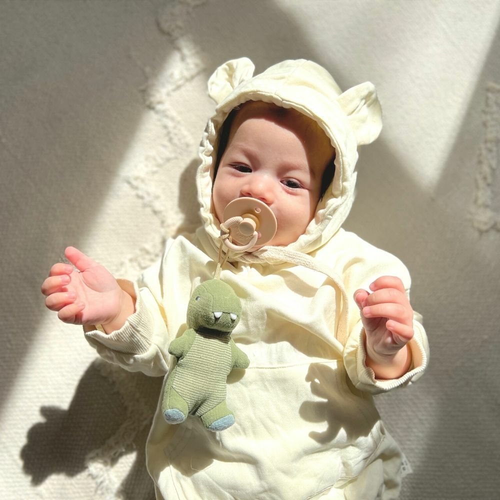 Bitzy Pal Pacifier w/ Natural Rubber Nipple and Soft Cotton Lovey (Dino)