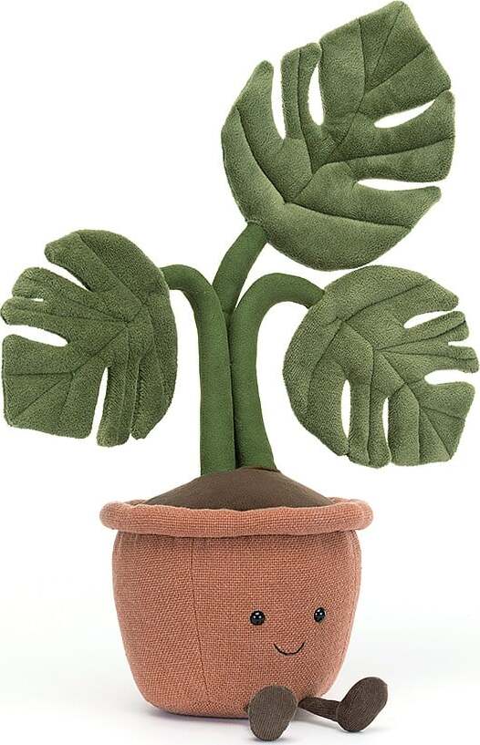 Amuseable Monstera Plant