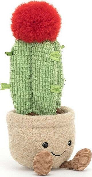 Amuseable Moon Cactus