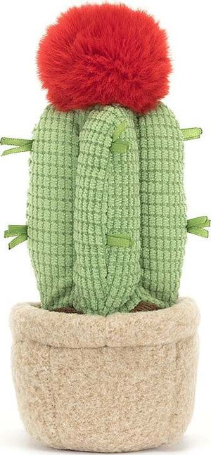 Amuseable Moon Cactus