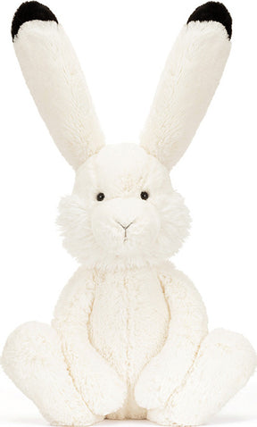 Arlo Hare