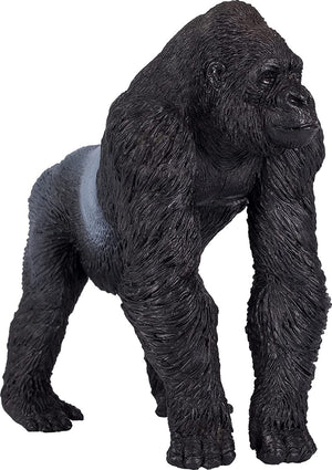 Gorilla (Silverback, walking)